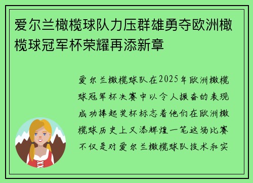 爱尔兰橄榄球队力压群雄勇夺欧洲橄榄球冠军杯荣耀再添新章